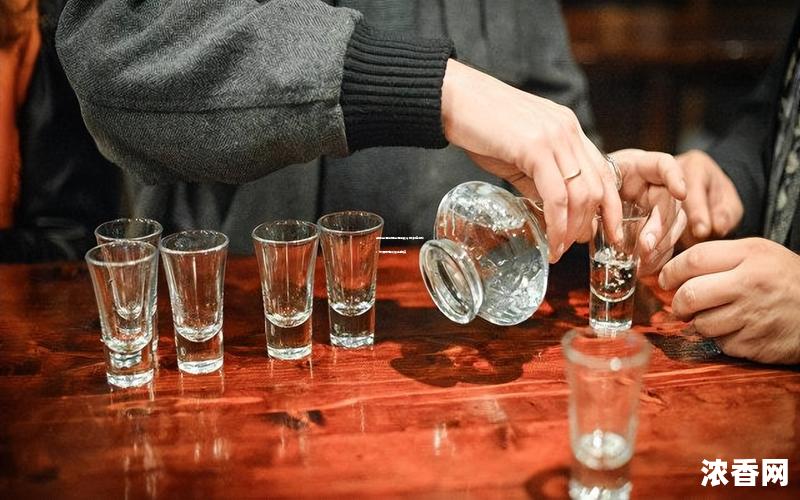 招商白酒中证白酒指数今日净值揭秘：市场表现与专业解读