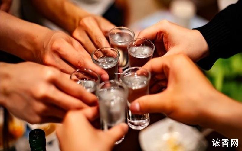 精确查询白酒价格的方法全解析