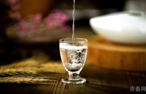 招商白酒指数基金估值：市场走势与投资策略解析
