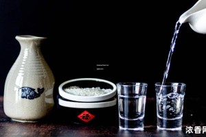 伊力浓香型白酒50度价格一览表：深度解析市场价位