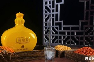 一瓶白酒的盈利空间：深度解析其利润潜力与收益策略