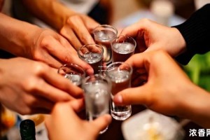 招商白酒基金今日净值一览表：最新数据，投资眼光紧随市场变动