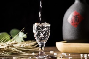 优质白酒批发品牌排行榜最新名单揭晓：领先品牌一览无遗